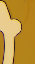 光刻图案脱落，光刻求助