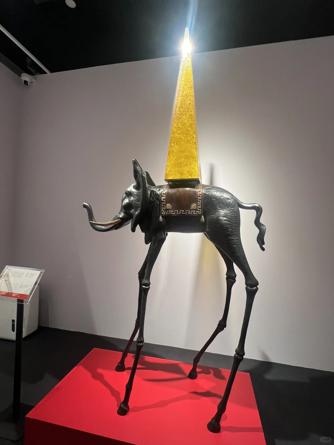 达利的形状｜中国巡展·珠海横琴臻林站