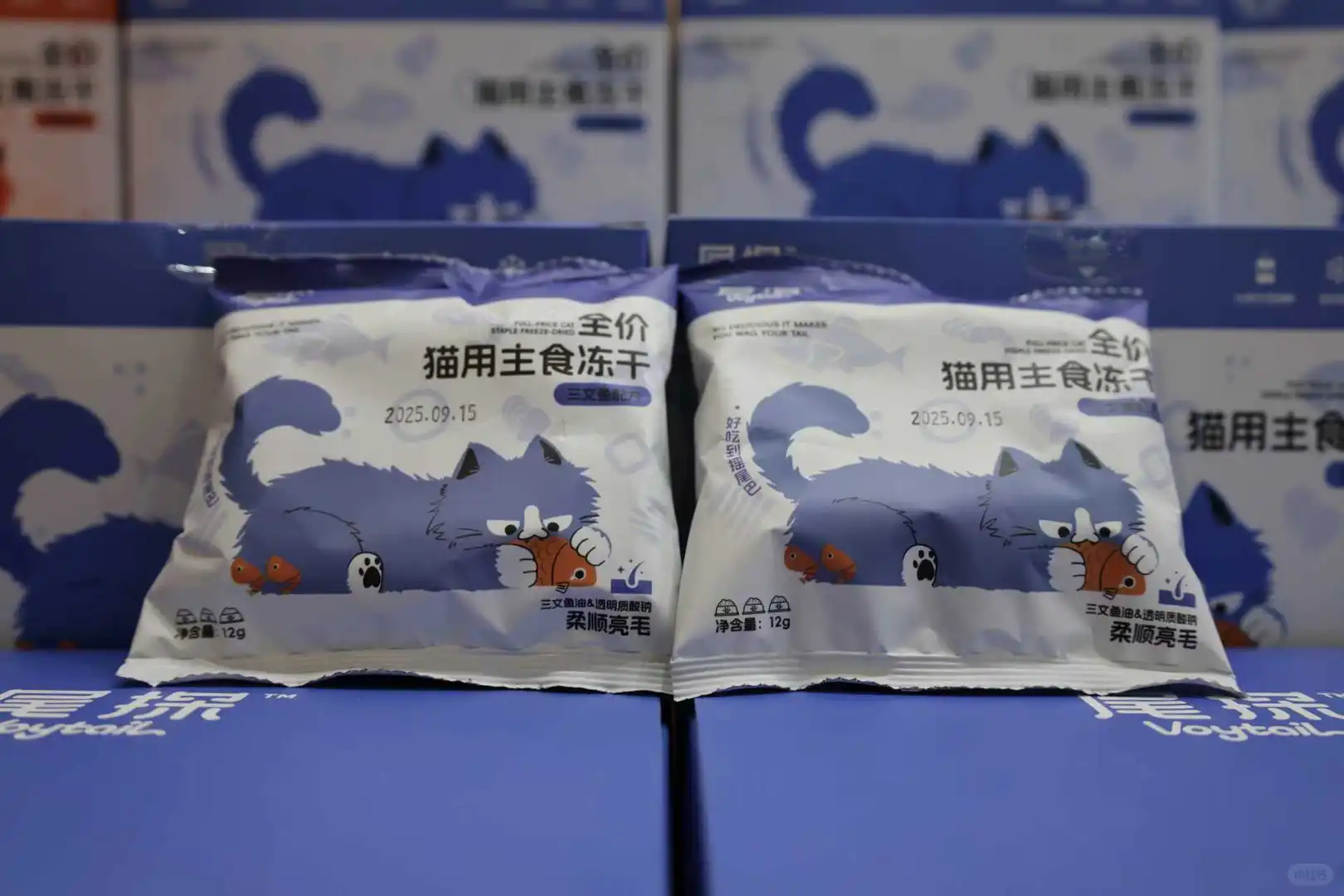 华东宠物展 ｜1D-B4现场太火爆啦！