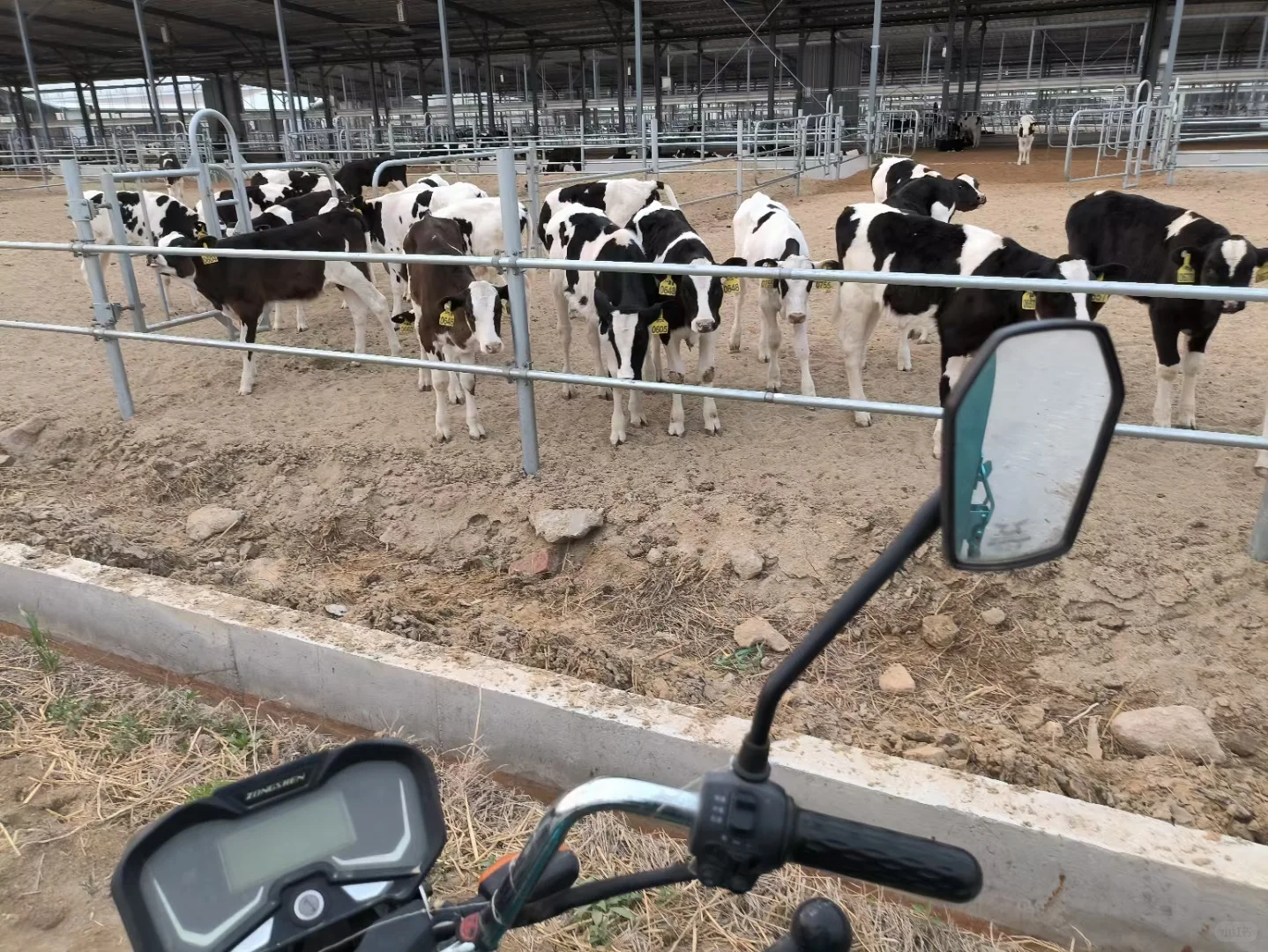 工作找到了 土木转行电工