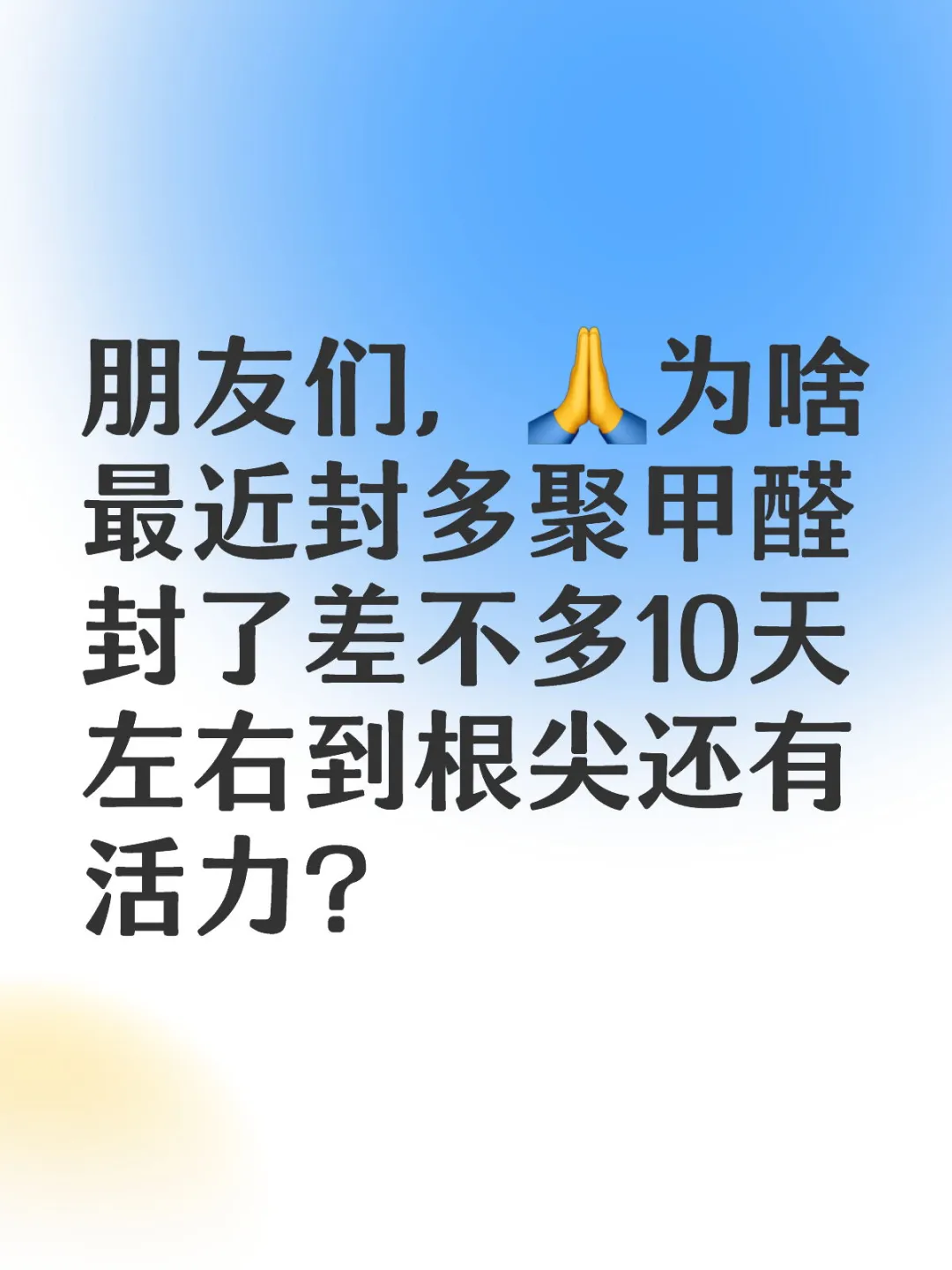 封多聚甲醛封了10天，根尖还有活力？