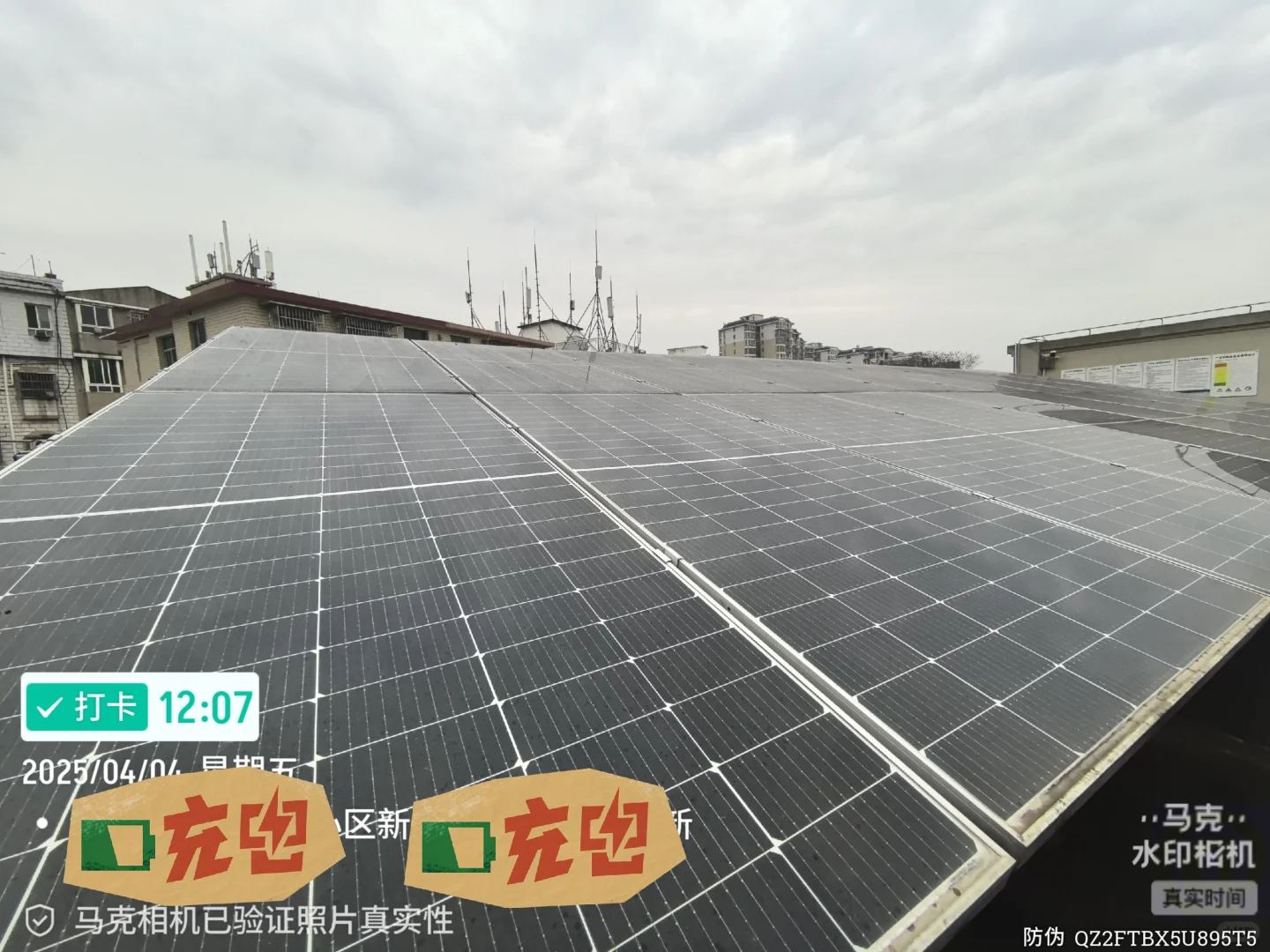 求助！光伏板怎么突然变这样了？