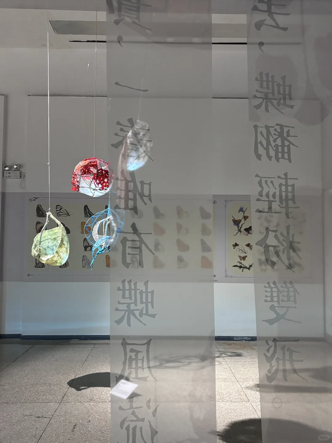 破茧而生，羽化而美｜武汉华农「蝶变」艺术展