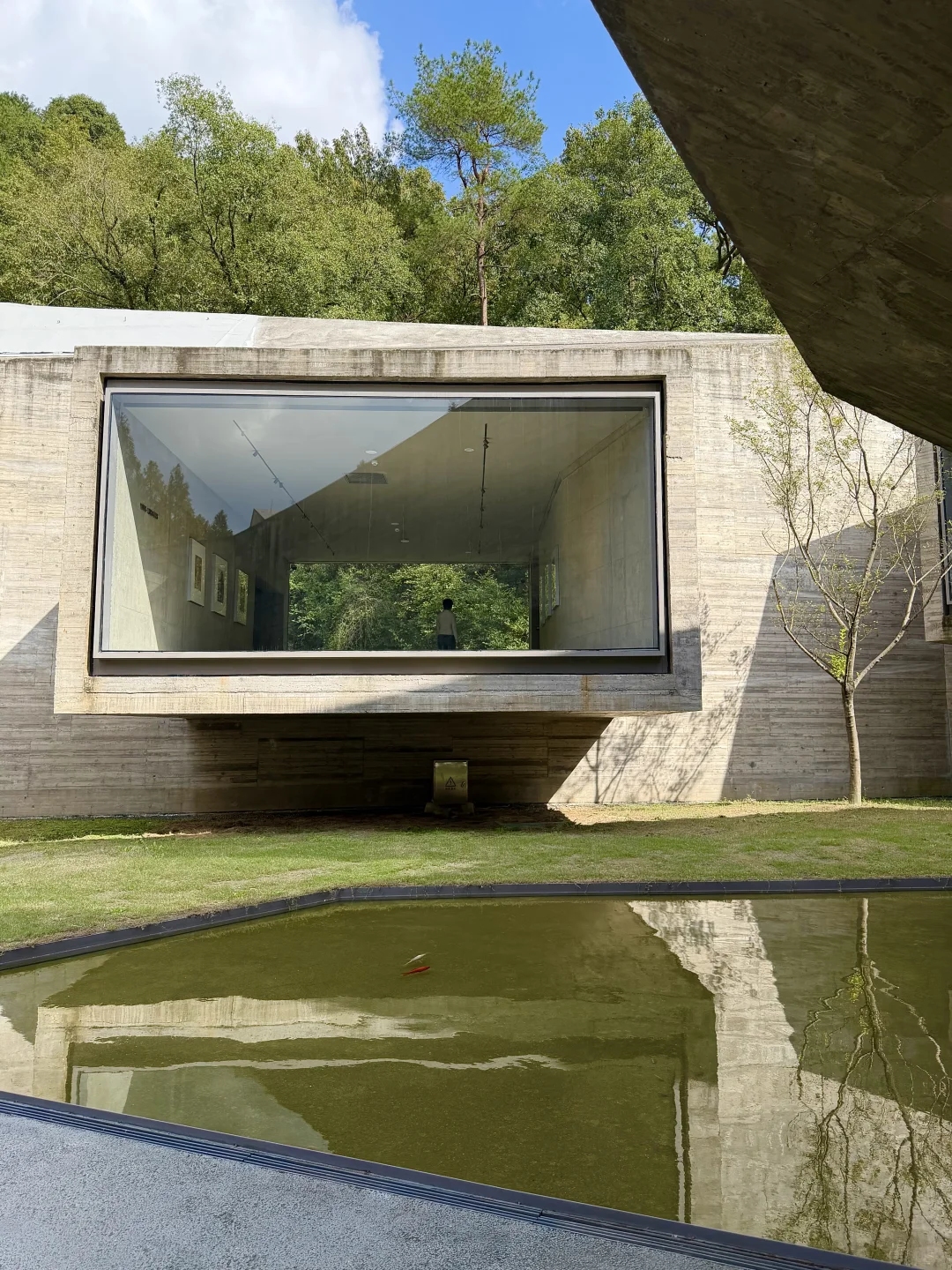 近期杭州最被低估的一个免费新展！？