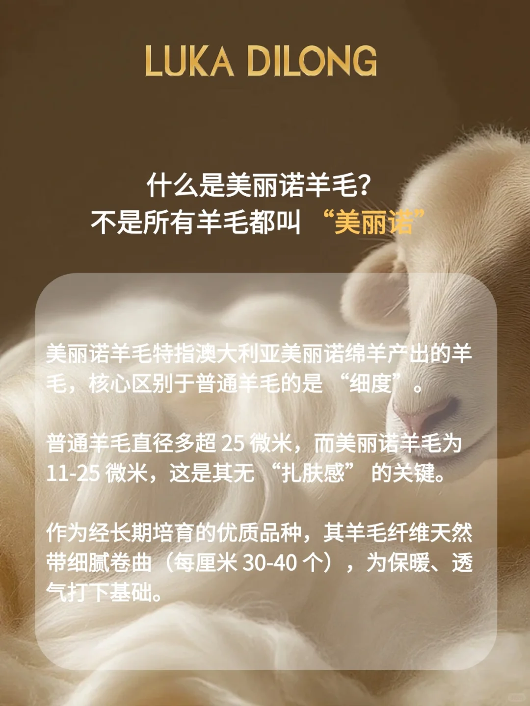 ?这款面料 “含金量” 拉满！金喜连连