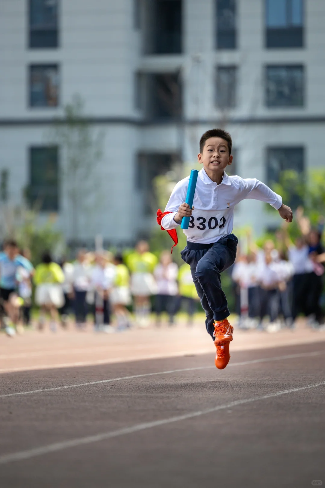 看看我的主摄影器材，这算封顶了吧！？