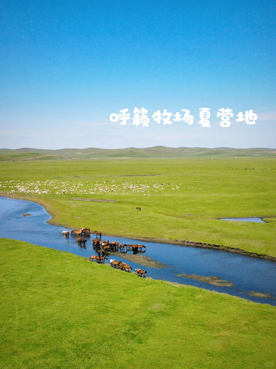 来自草原的90后牧场主说一说羊肉行业的秘密