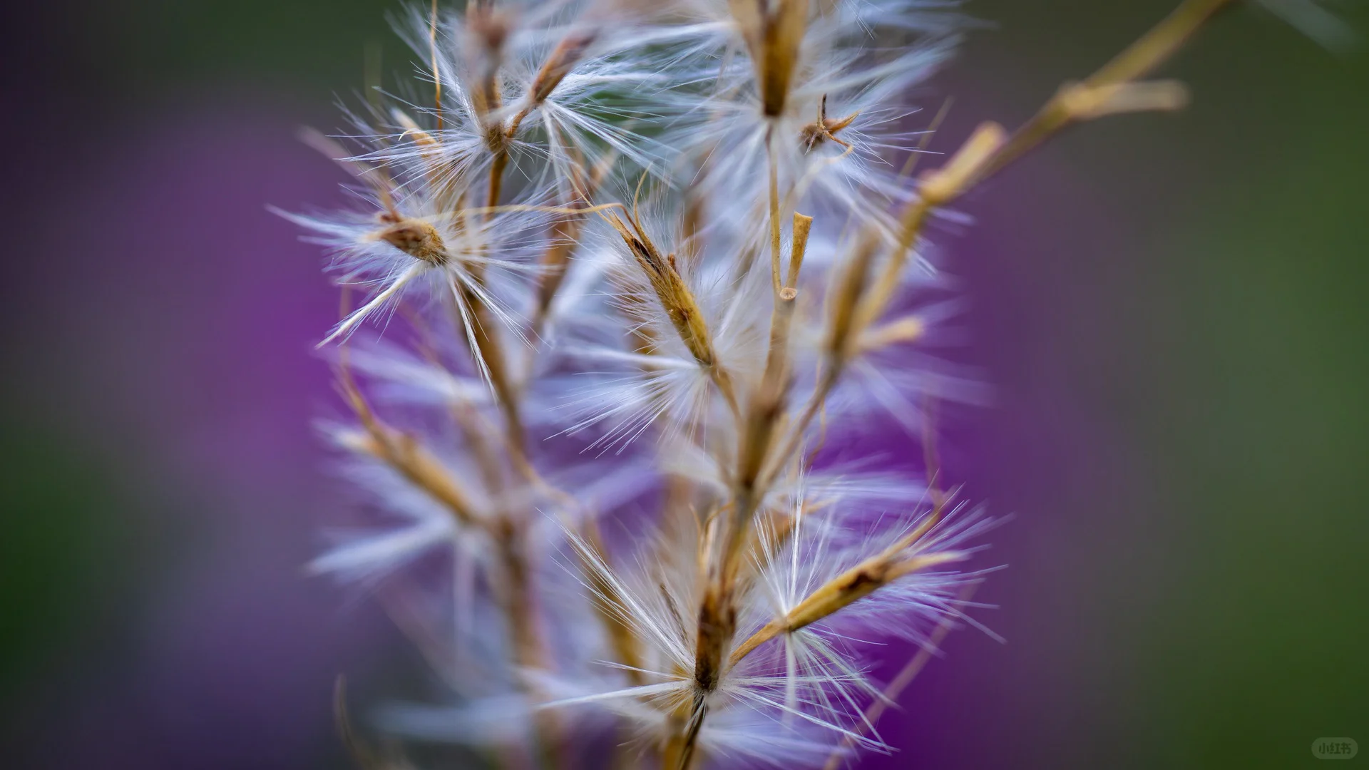 我用索尼a6700拍的照片