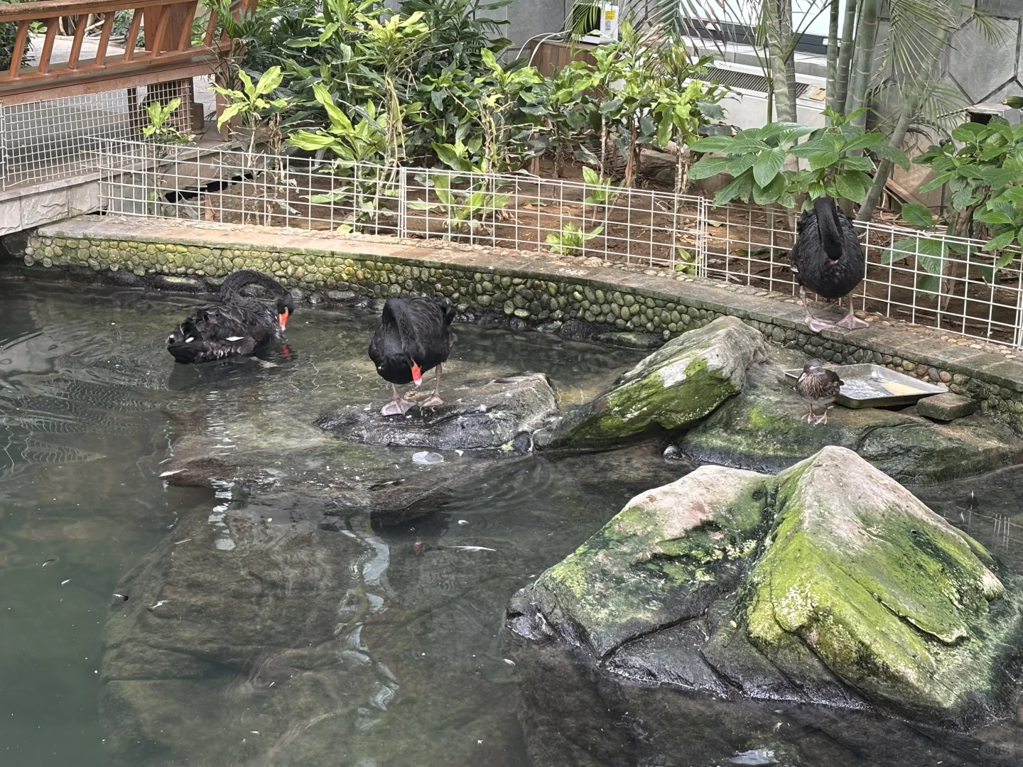 北京博物馆分享第二十九站—北京地热博览馆！