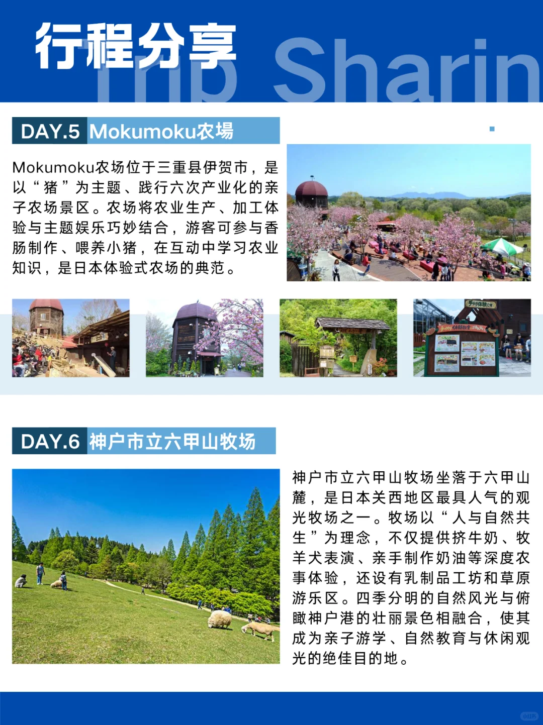 日本牧业考察 | 自然×文化×农业之行