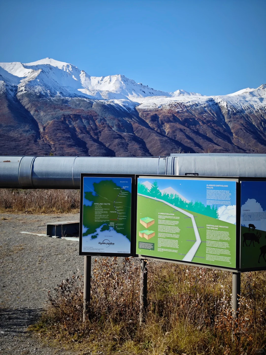 阿拉斯加输油管道