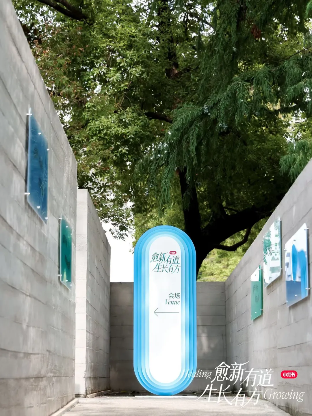 《2025小红书健康行业峰会》