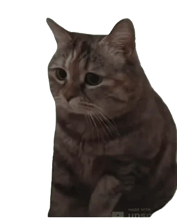 货代招标货怎么做？