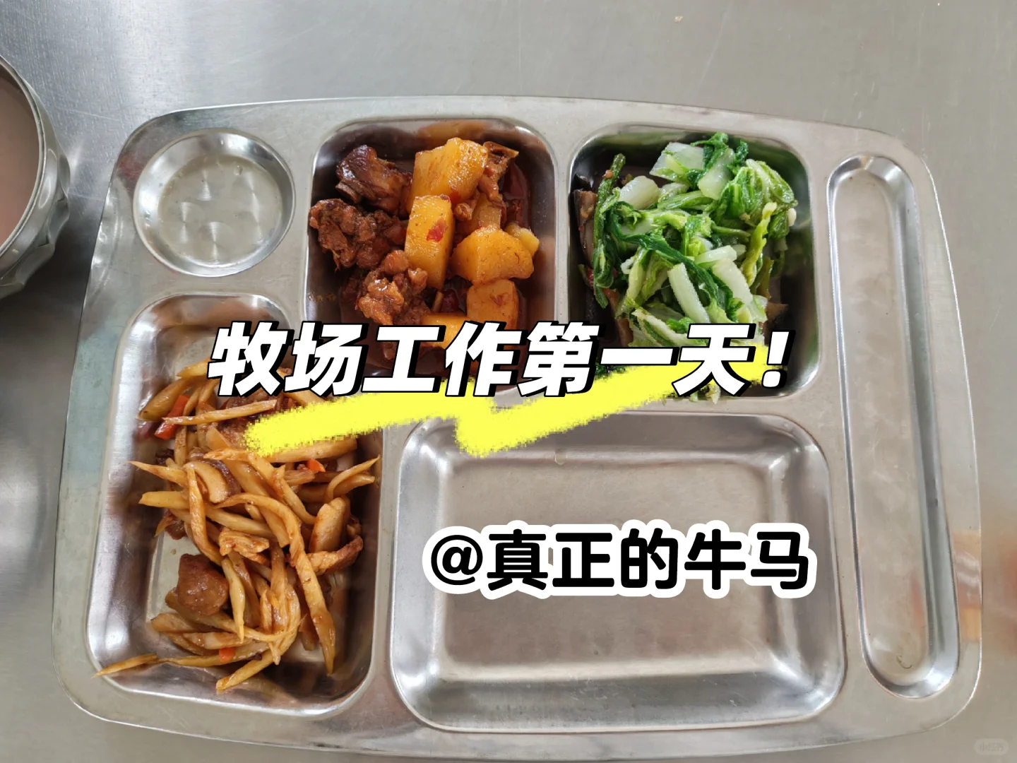 牧场工作第一天