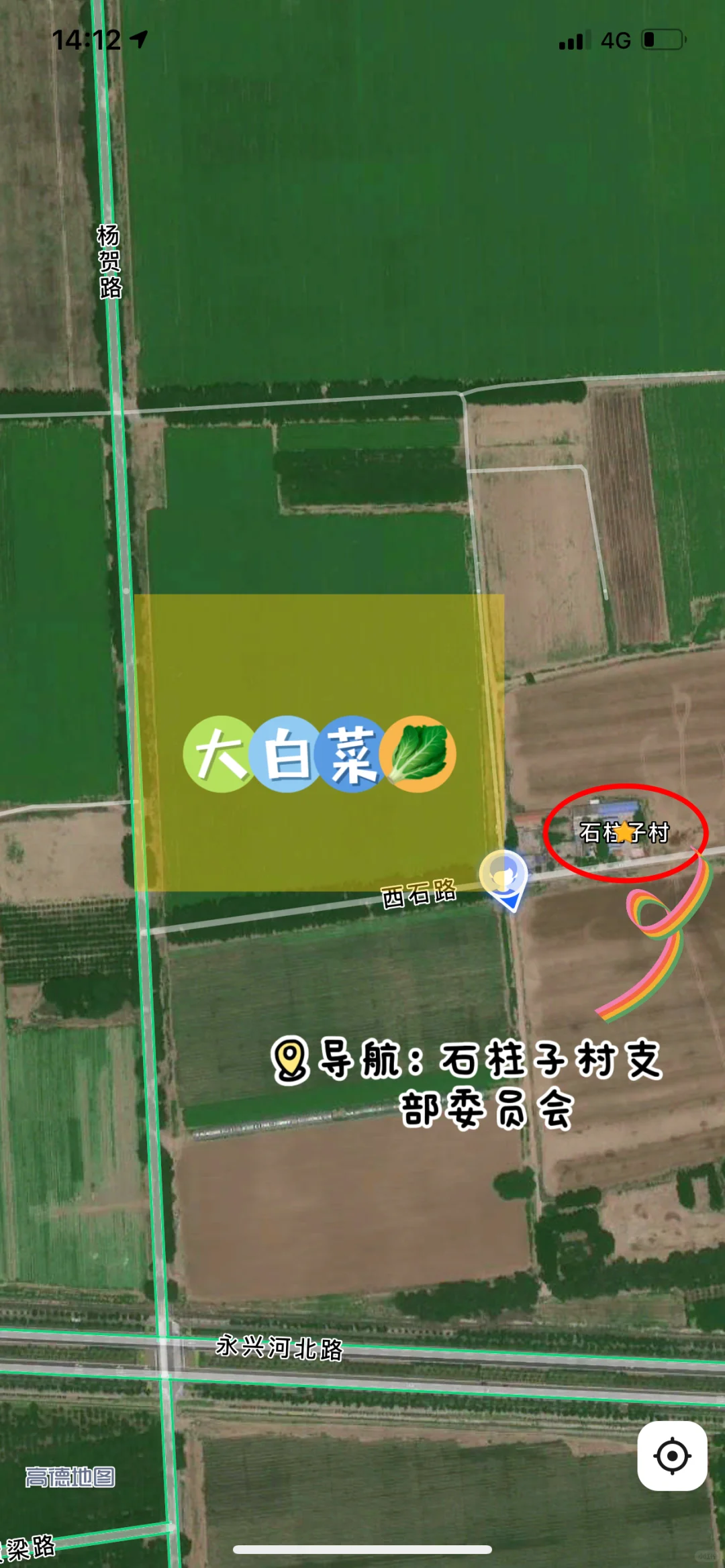 大兴免费捡白菜?位置在最后一张图片?