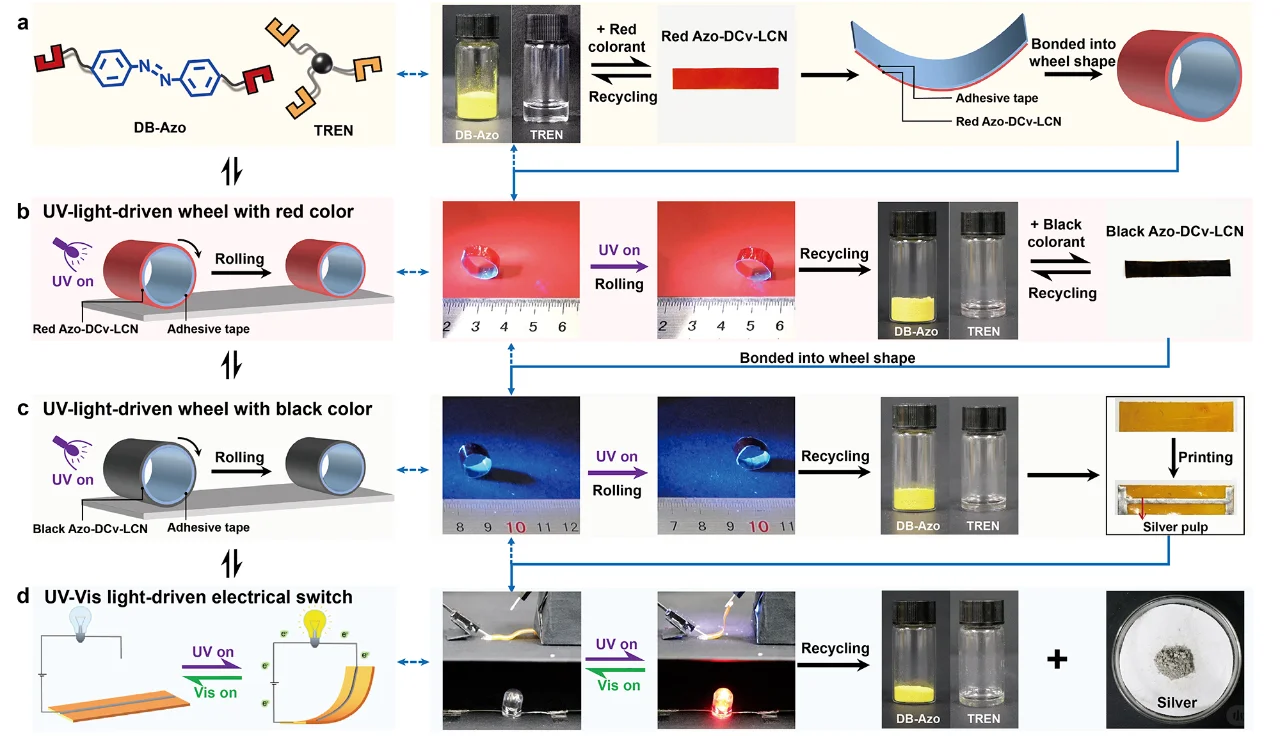 ?吉林大学Angew：动态液晶网络?