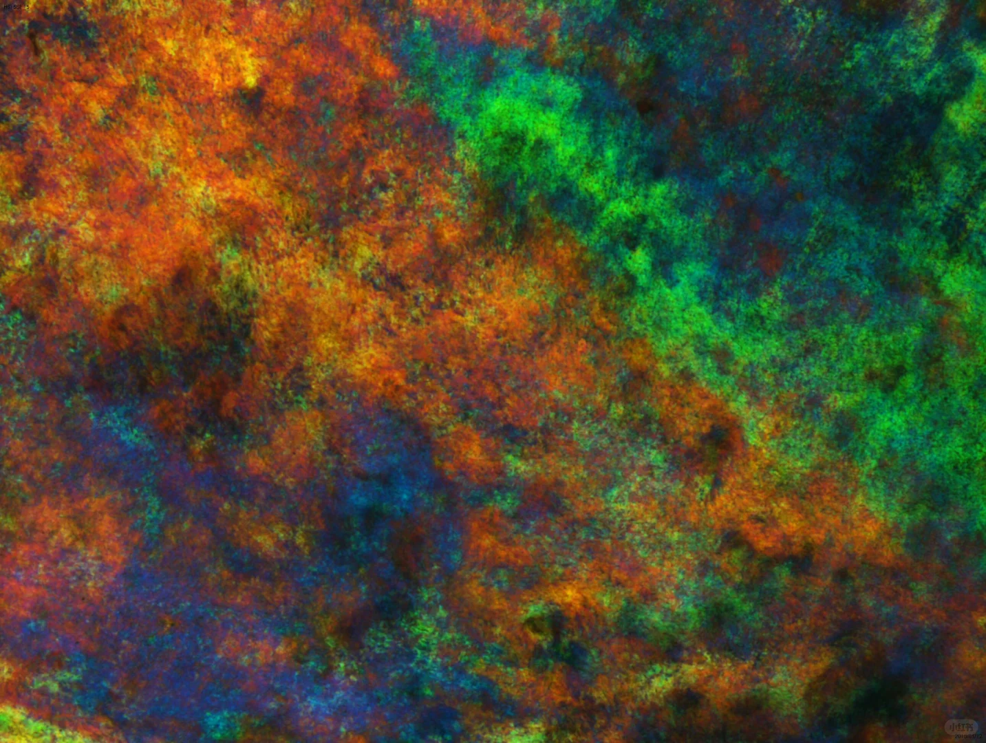 显微镜下的艺术 —— 液晶织构