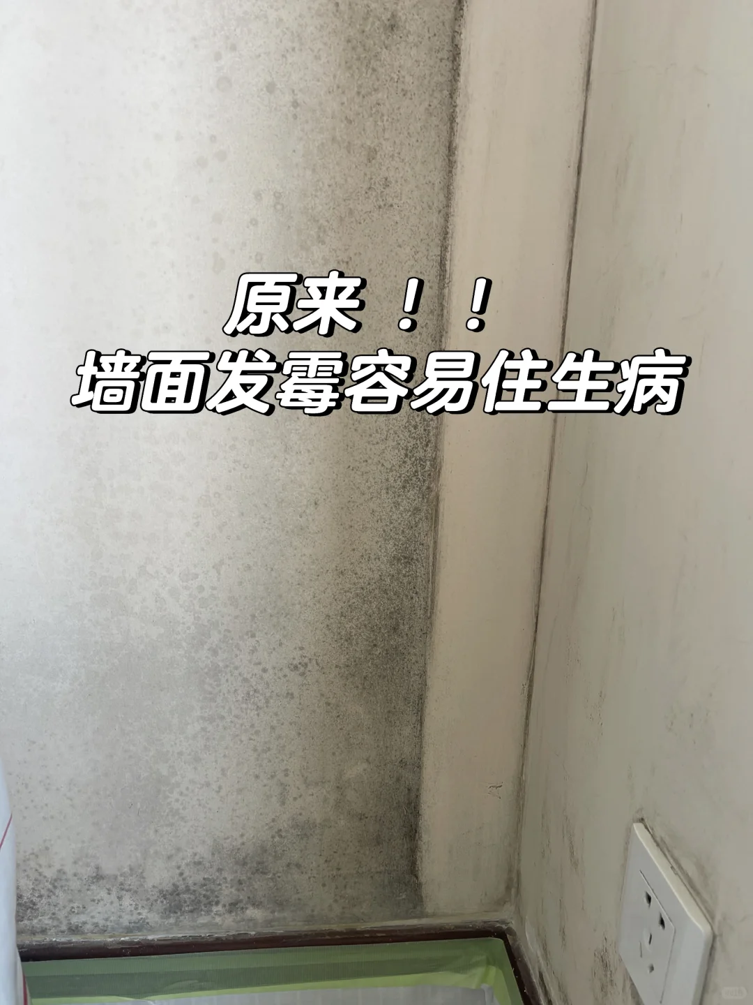 工地打卡08 | 原来！墙面发霉容易住生病