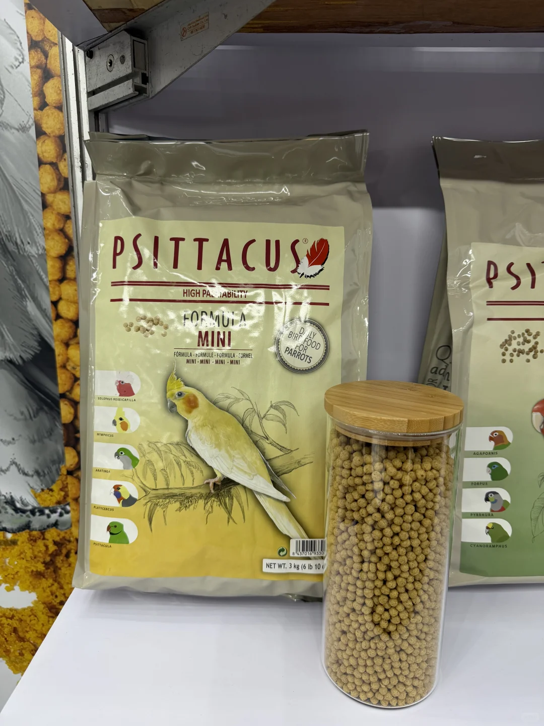 曼谷petfair宠物展