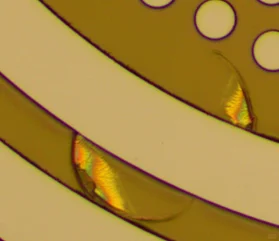 光刻图案脱落，光刻求助