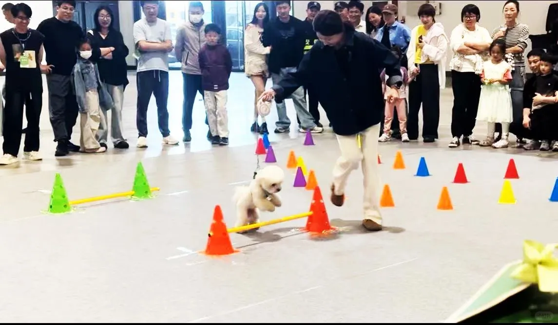 2026 泉城 5 月，宠物水族盛会邀您来