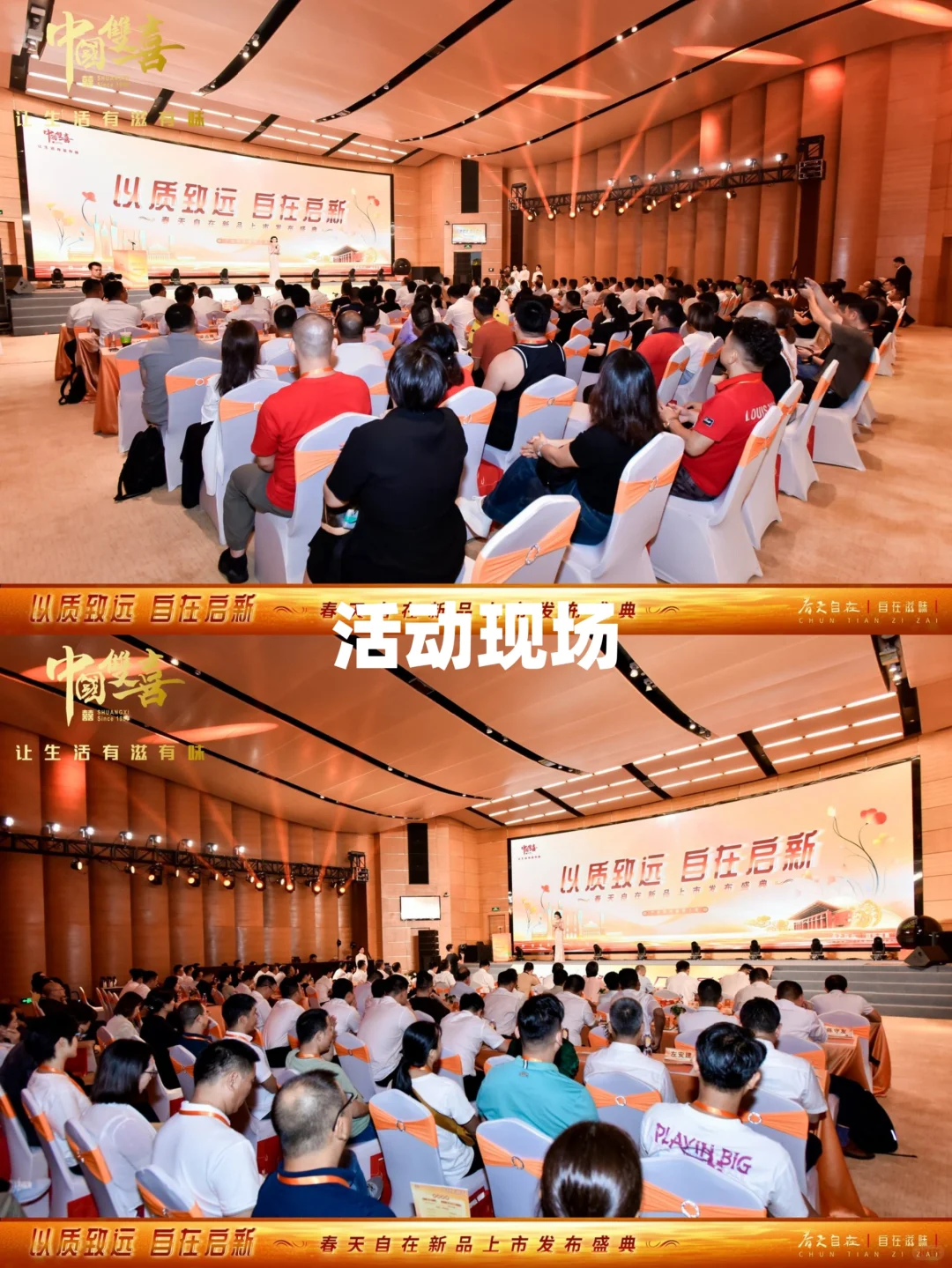 以质致远自在启新 | 春天自在新品上市发布