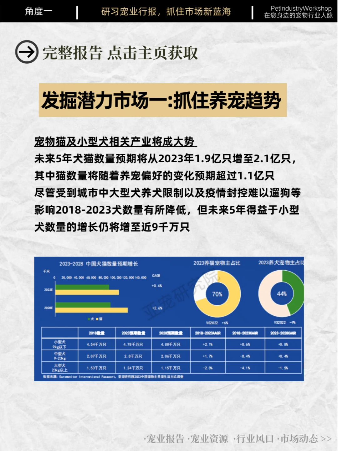 62页| APA亚宠展：中国宠物行业蓝皮书