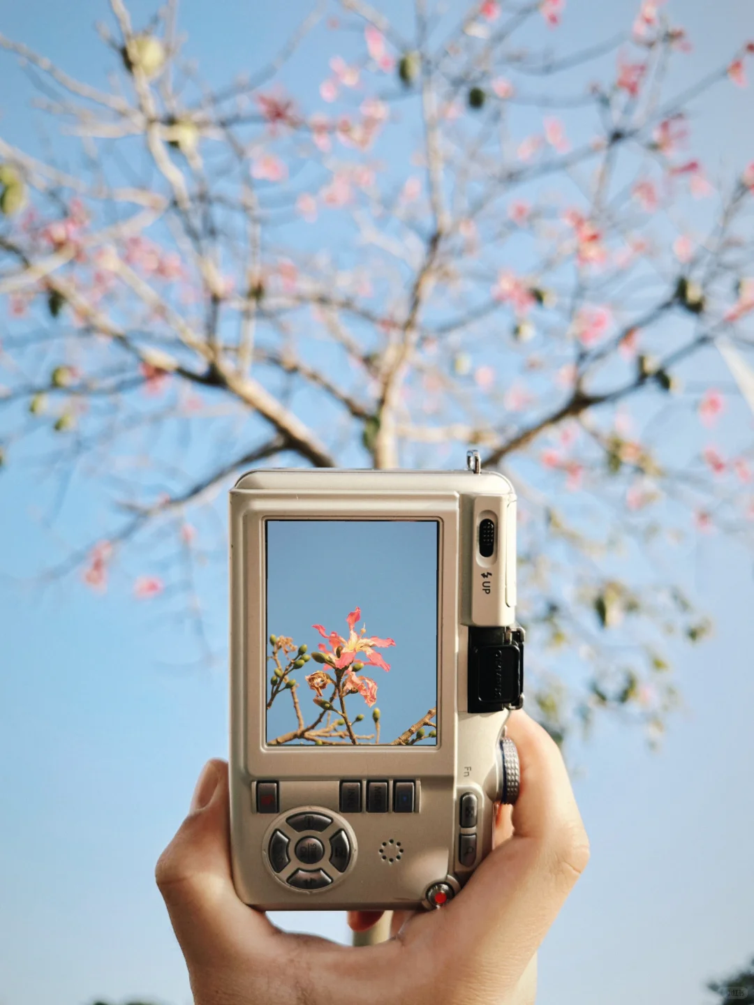 300?捡漏的奥林巴斯，出片颜色超好看