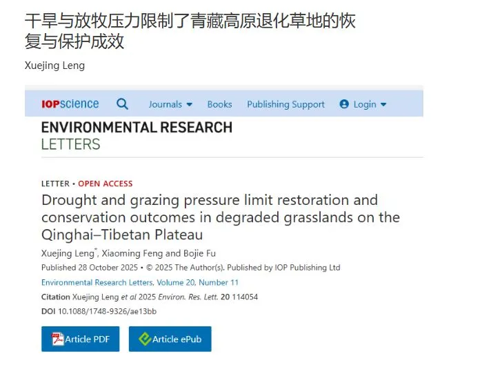 干旱放牧压力限制了青藏高原退化草地的恢复