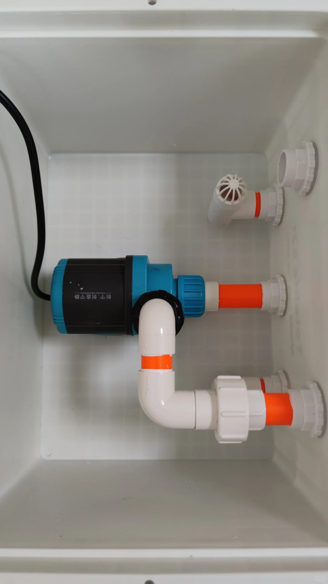 金典白橙【周转箱过滤】