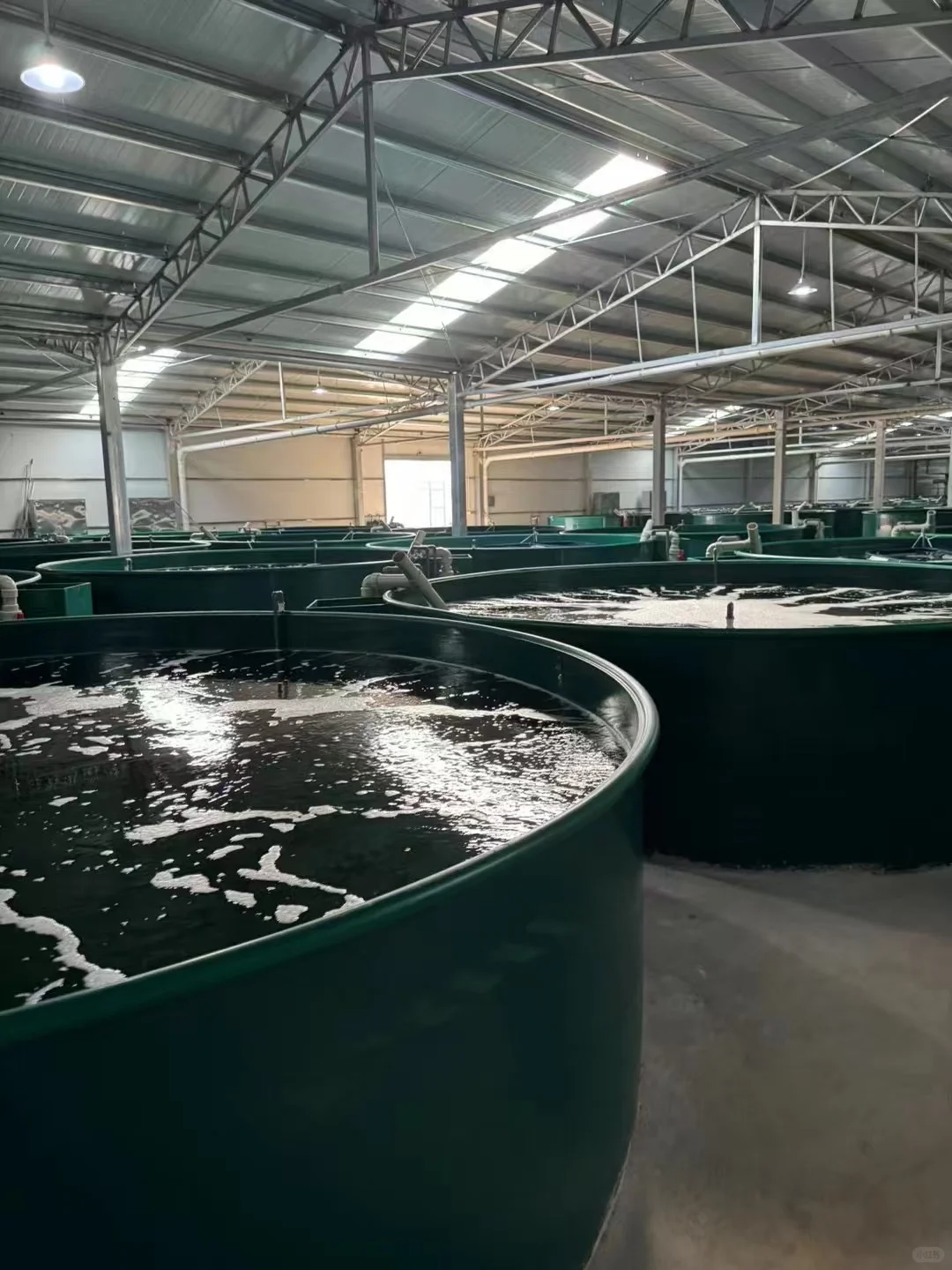 彼欧亿pp板鱼池养殖，干净环保