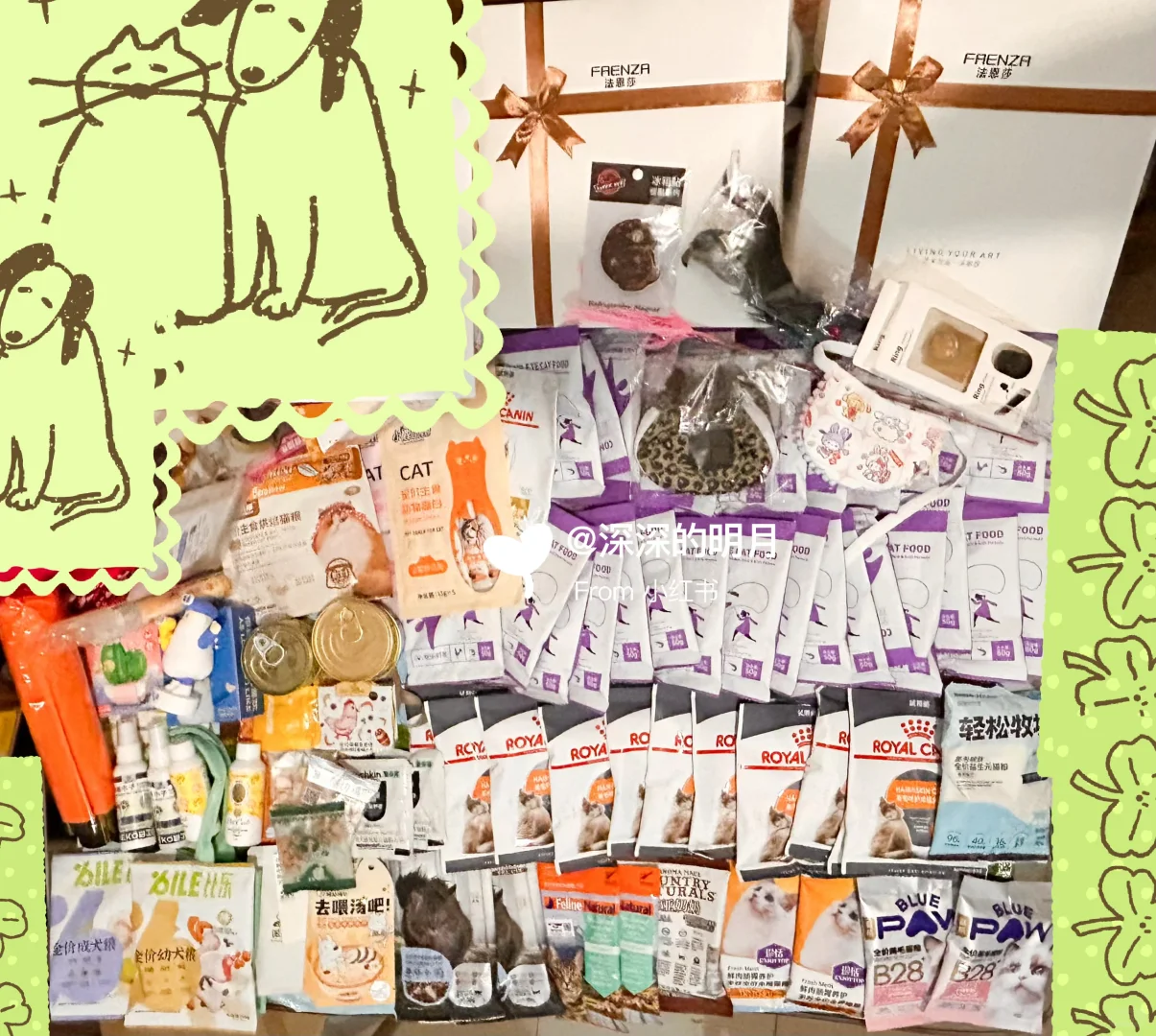 广州世宠会纯羊毛攻略