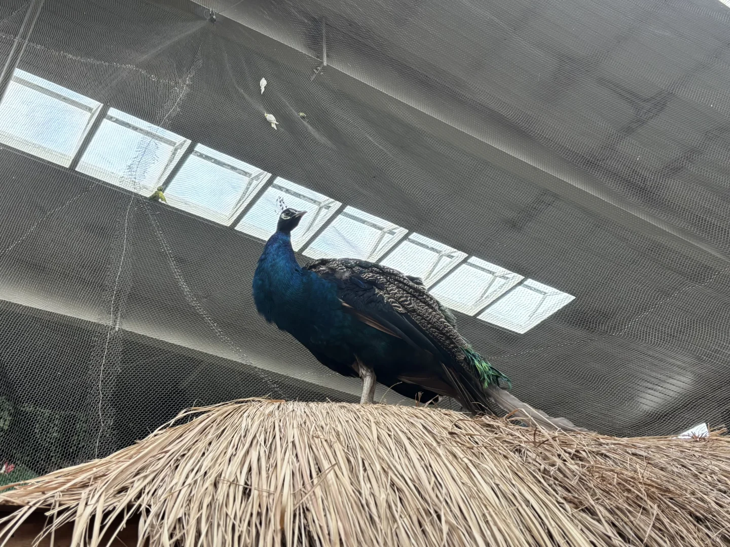 北京博物馆分享第二十九站—北京地热博览馆！