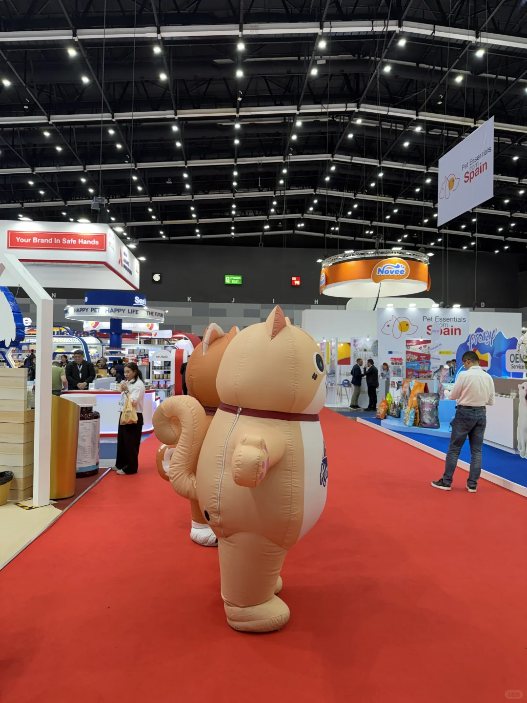 曼谷petfair宠物展