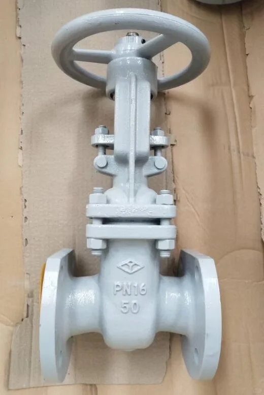 俄标闸阀.|GOST standard gate valve