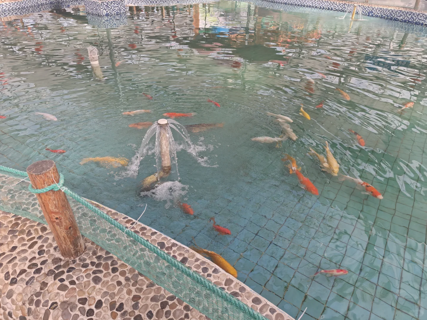 ? 探索吉林农业大学的“鱼”乐世界!