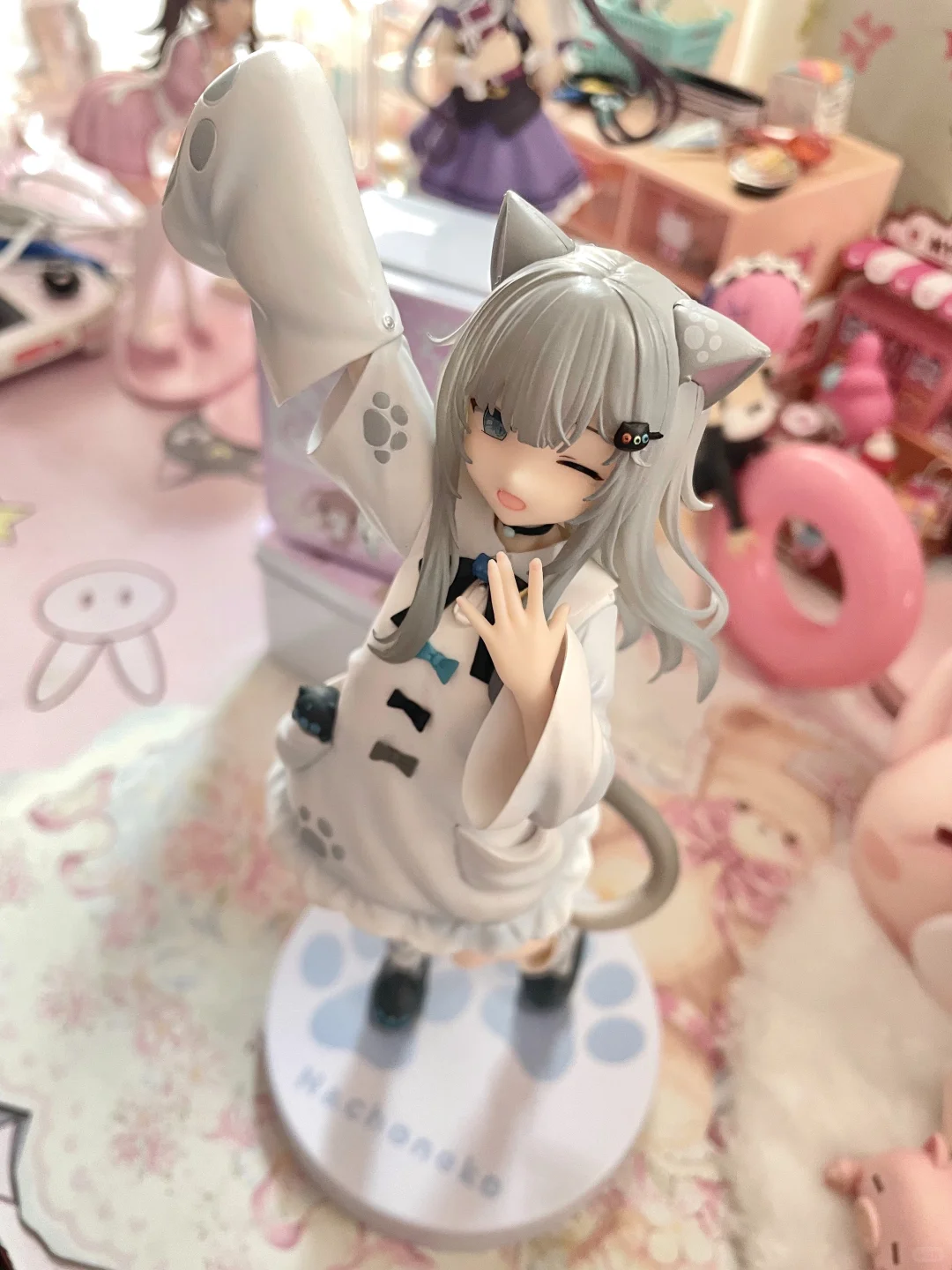 等了半年的猫猫(ㅅ´ ˘ `)！