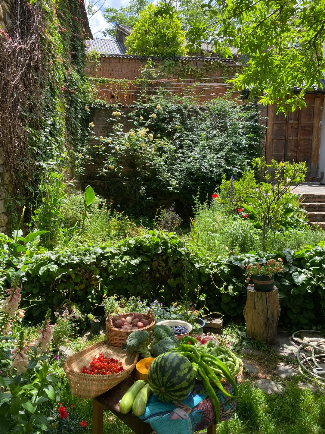 久违的乡村市集