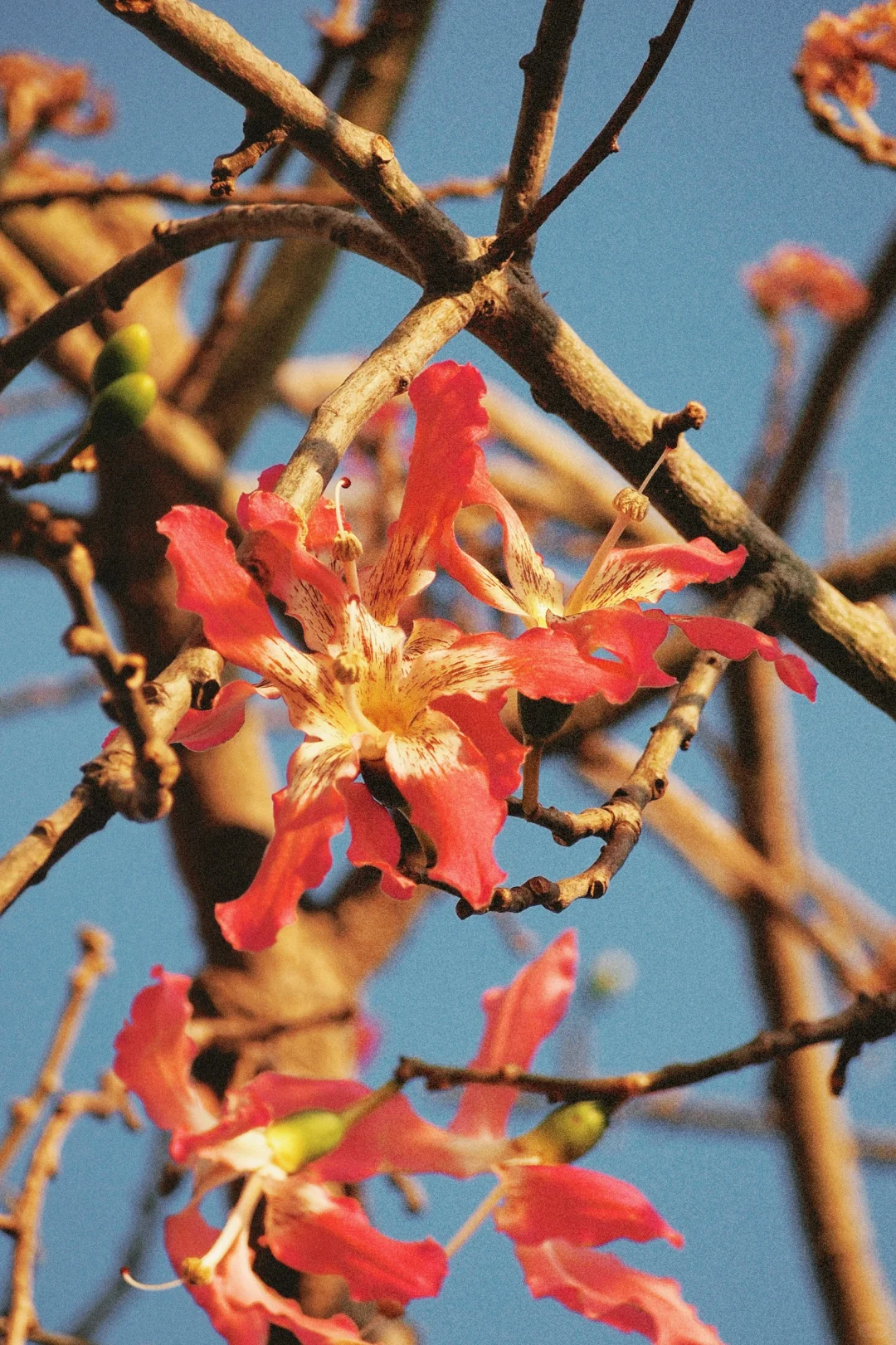 300?捡漏的奥林巴斯，出片颜色超好看