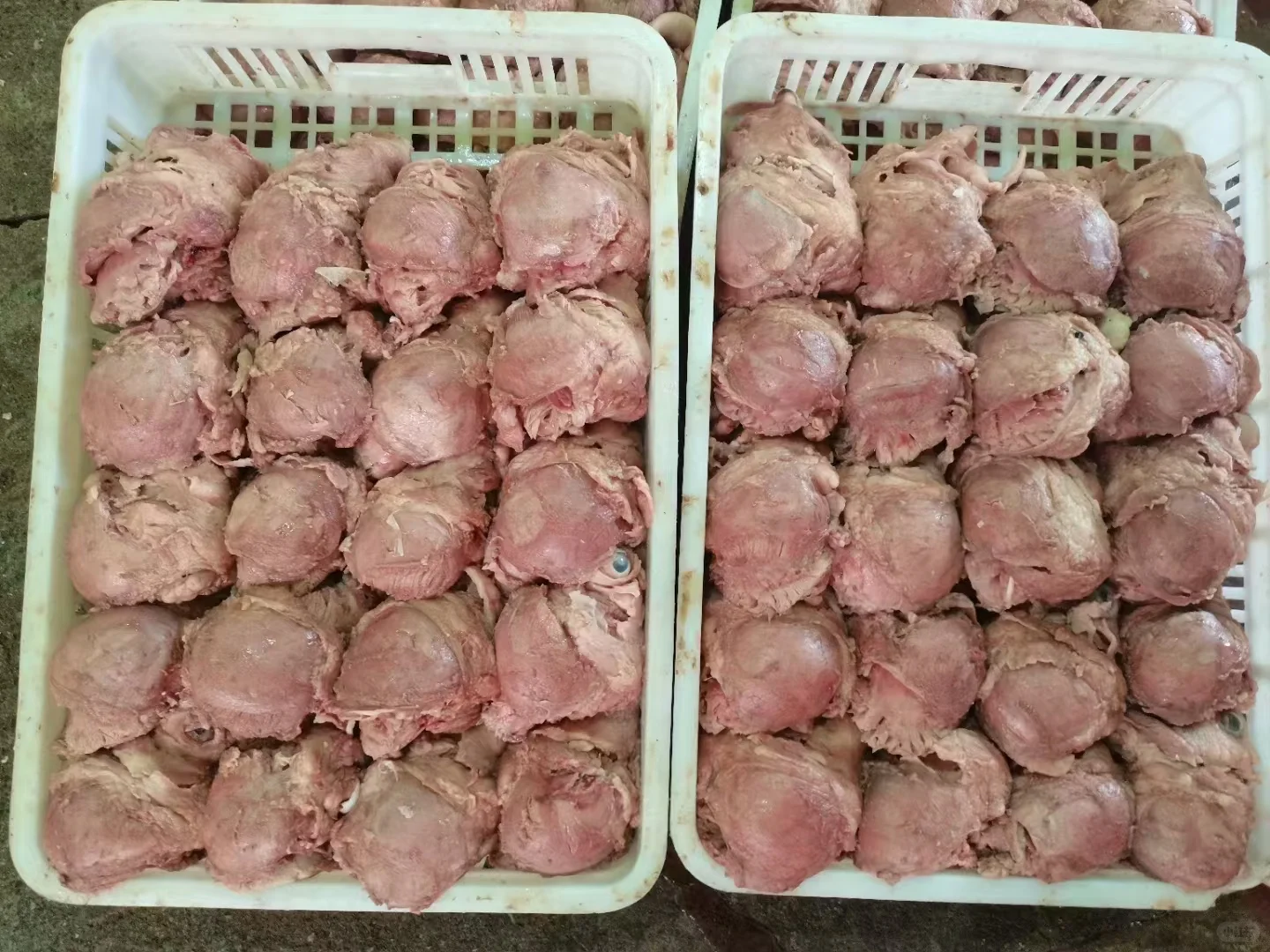 冻货厂家批发，品种齐全，