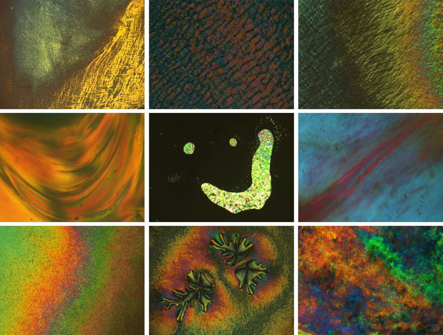 显微镜下的艺术 —— 液晶织构