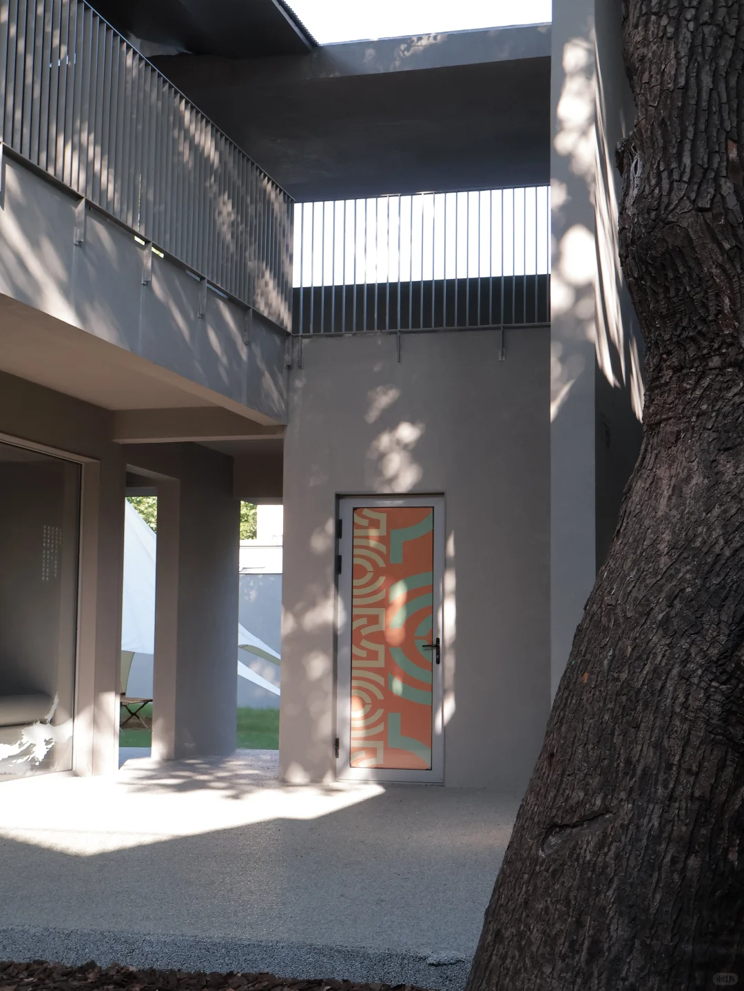 杭州新展｜番茄你个tomato ???️