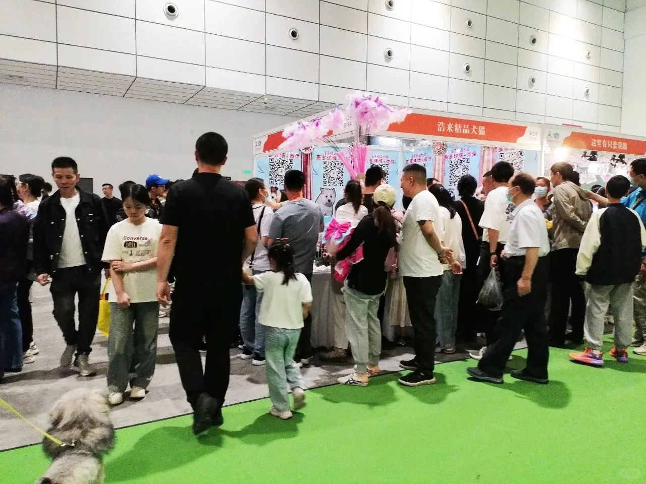 2026 泉城 5 月，宠物水族盛会邀您来