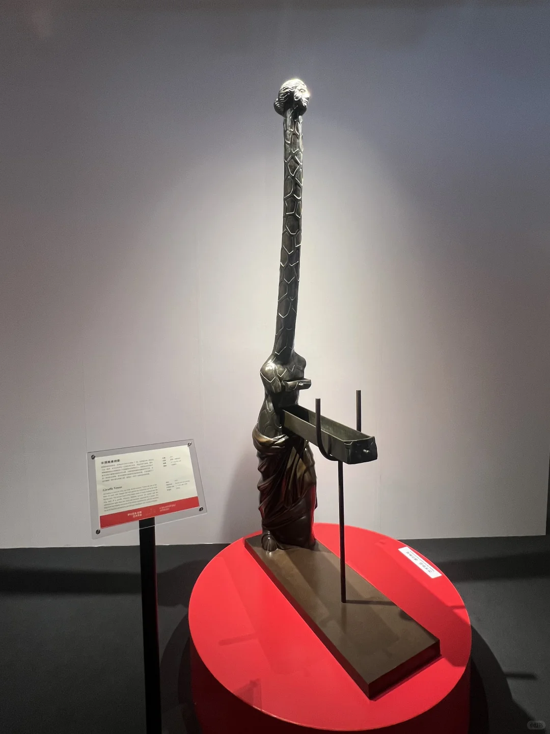 达利的形状｜中国巡展·珠海横琴臻林站