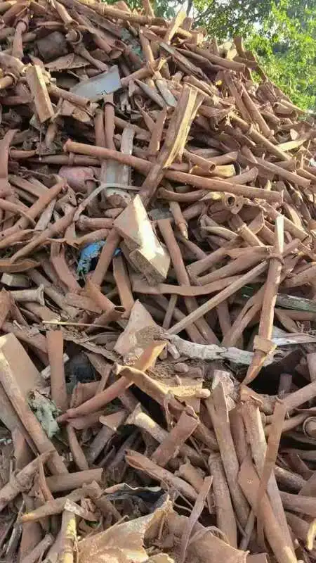 全球免税国家采购大量废钢铁