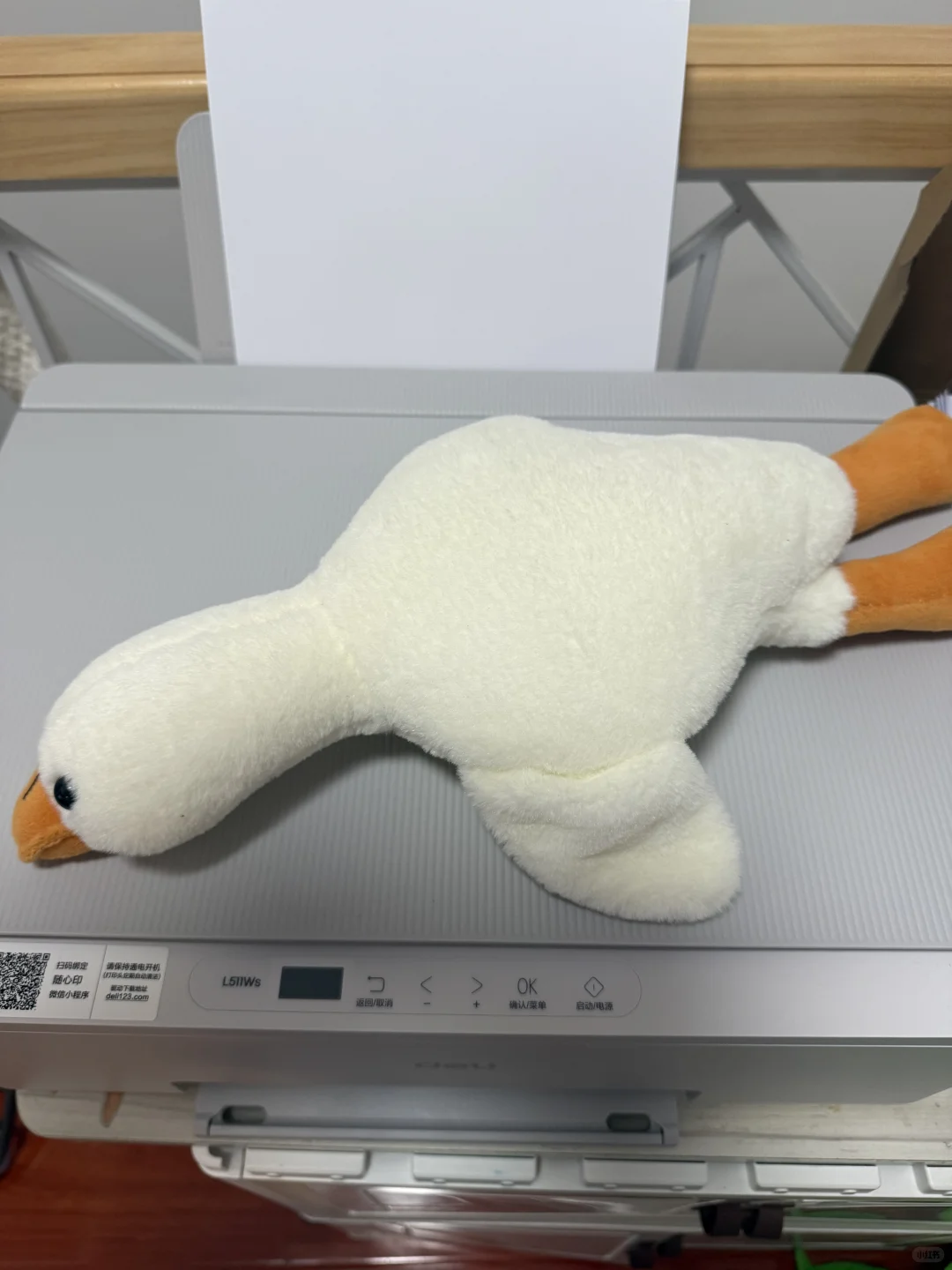 特别惊喜的得力（deli）L511Ws喷墨打印机