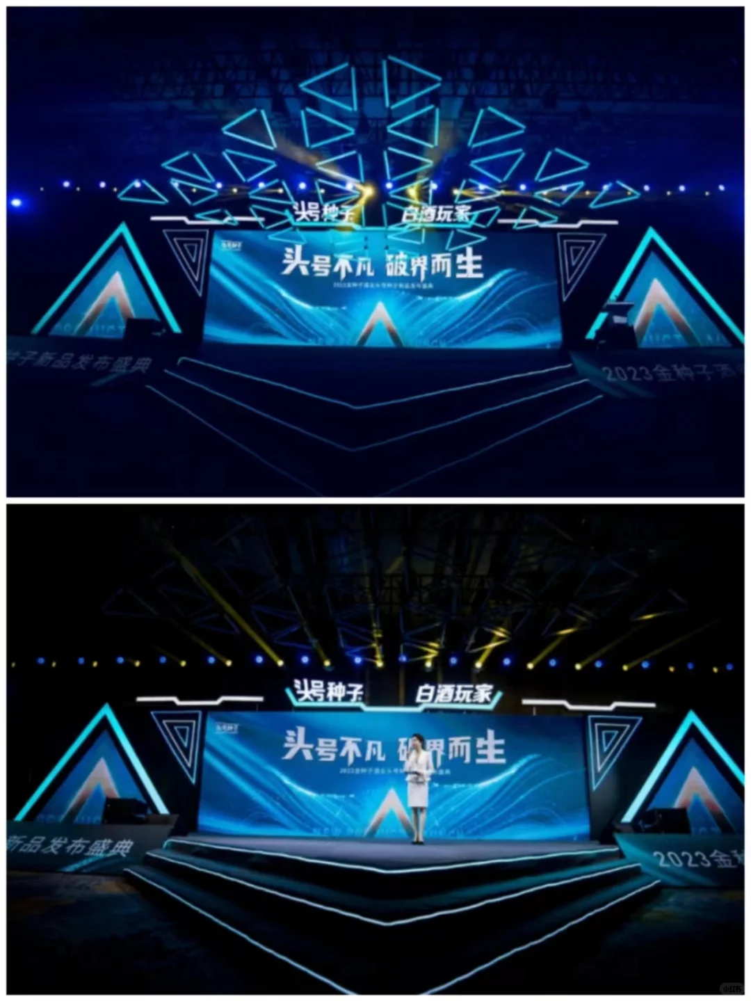 活动策划:酒业新品发布会盛典