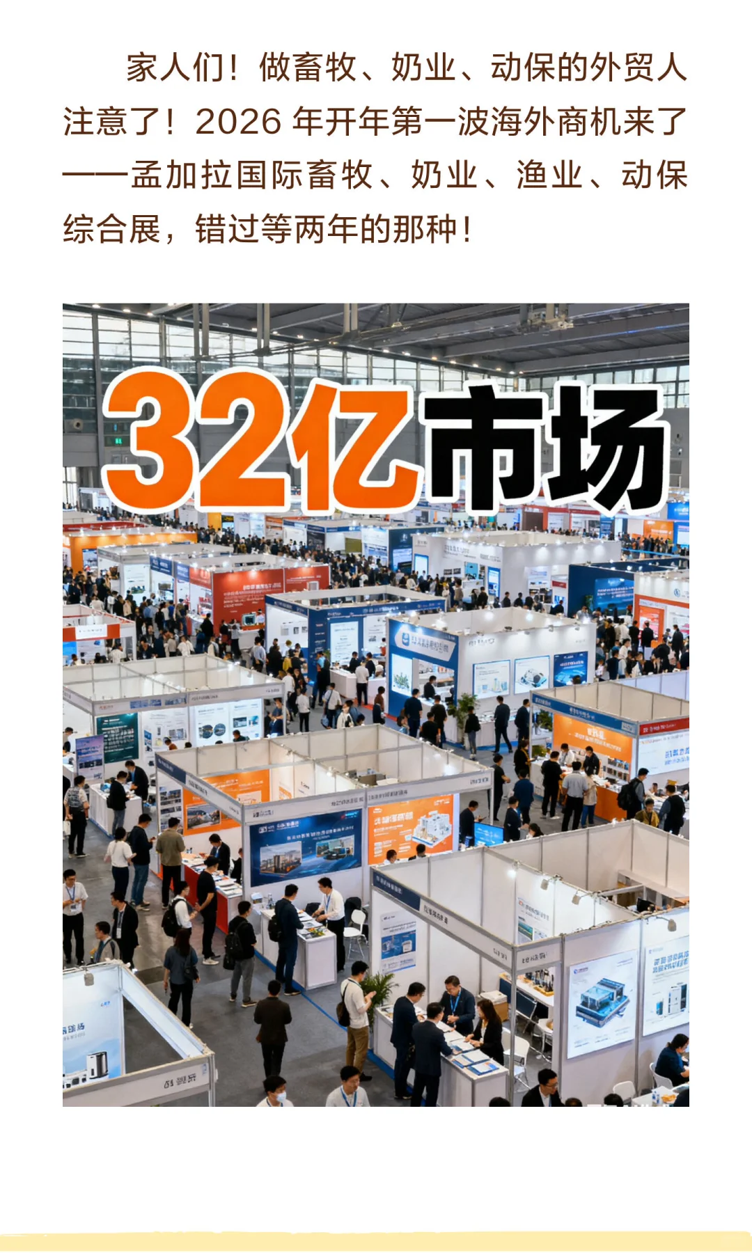 ?2026 孟加拉畜牧展攻略！32 亿美元兽药市