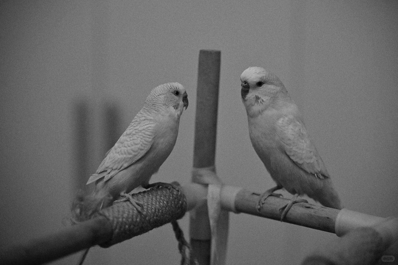 尼康你变了…给这么多我害怕啊！！！！