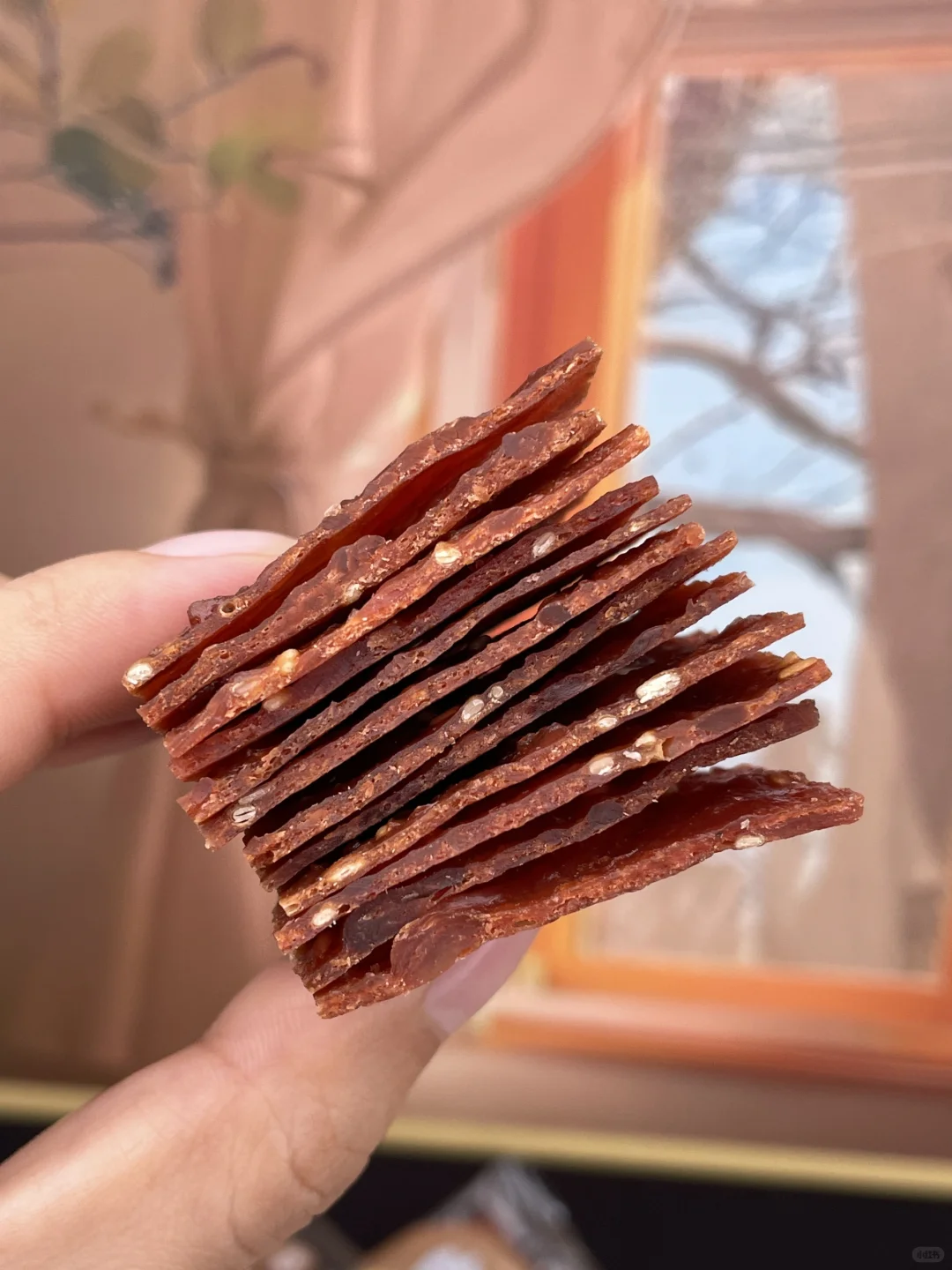 原创高清零食素材提供～蜜汁肉脯‼️